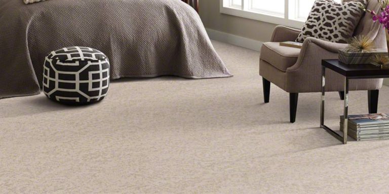 Read more about the article Professional Carpet Installation