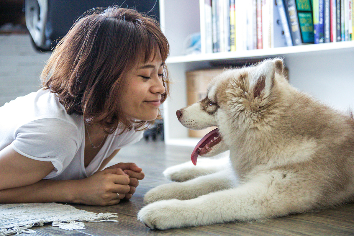 Read more about the article Luxury Vinyl Flooring And Dogs