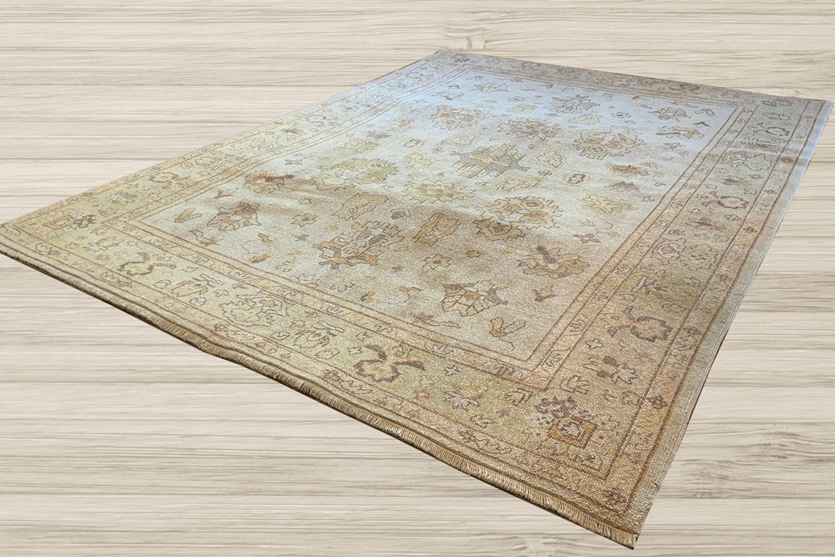 Read more about the article January Featured Rug Collection