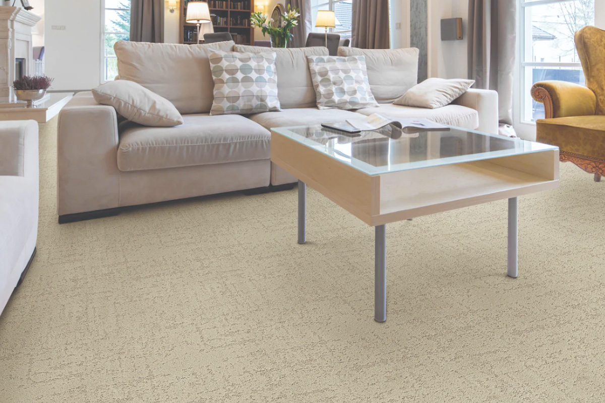Read more about the article New Carpet in 2024