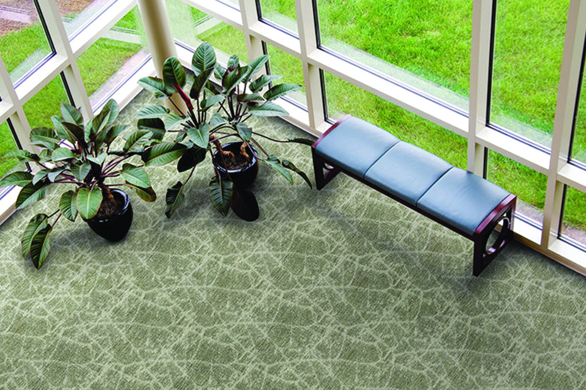 Read more about the article Why Choose Commercial Carpet?