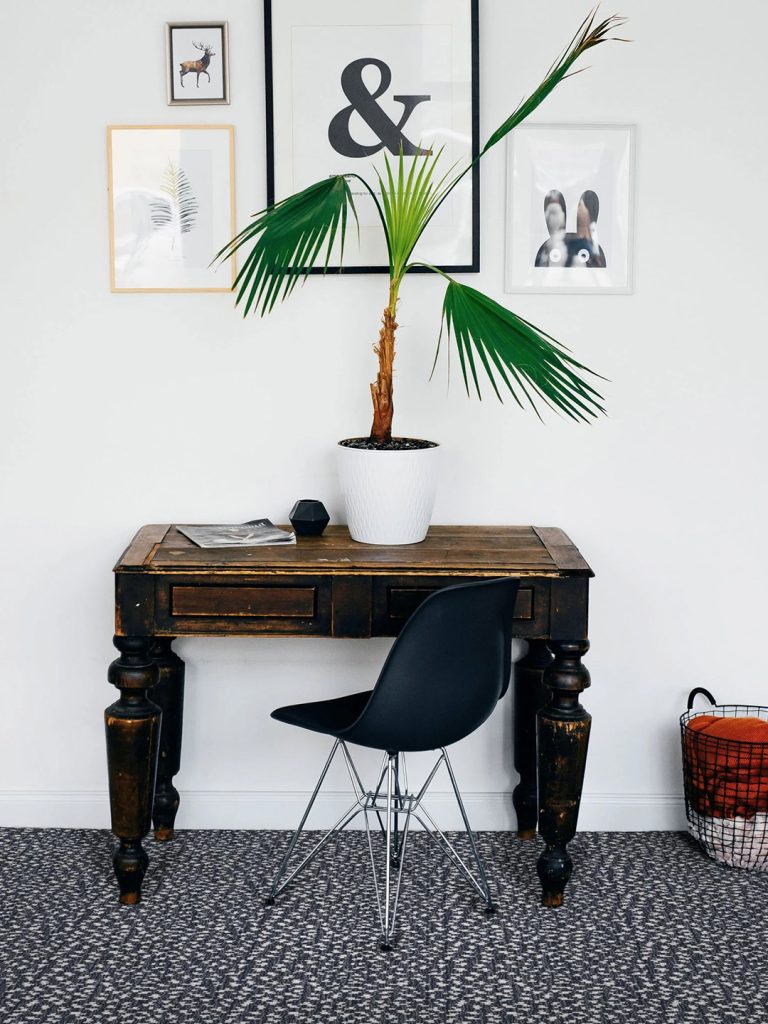 A black and white patterned carpet with a wood desk and plant.